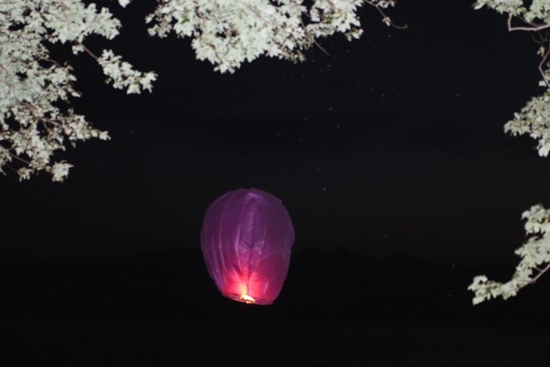Chinese Lantern in search of the heavens