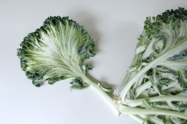 White Kale