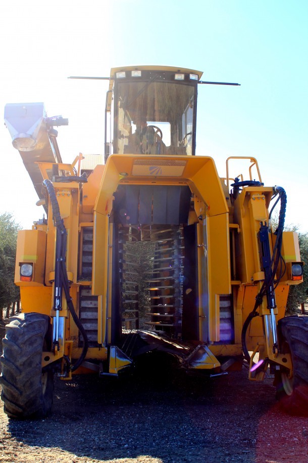 Front view of the olive harvesting tractor